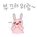 이차는전집 이미지