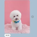 냉림3길 이미지