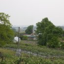 유화 중급 이미지