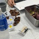 주정차53 | 일년 꽉 채워 다시 돌아온 1월기!