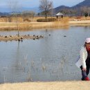 순천만습지 이미지