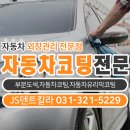 JS덴트칼라