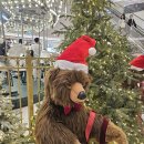 삼바리군산점 | 12월 일상_여전히 우당탕탕이지만 재밌는걸?