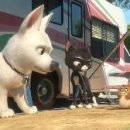 우정앤독스 이미지