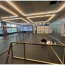 행복한강아지와고양이 이미지