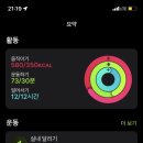 고기좋아 이미지