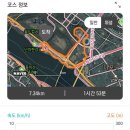 중앙로 메타세콰이아길 이미지