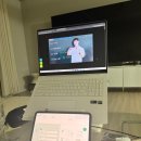 내 손안의 하모니카 : 중급 | 777영어학습지 중급 성인영어 수강후기 영어공부 습관 만들기