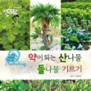 청주 강내점 롯데리아