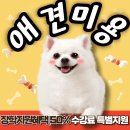 목포애견미용 학원 추천하는 이유와 연봉과 비전