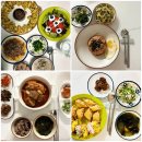 포항 경주 산후도우미 업체 닥터맘 감사 후기