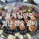 별난참숯갈비 | [남양주] 숯불 돼지갈비 무한리필 ‘별난 참숯 갈비’