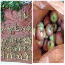 중마 지구대 이미지