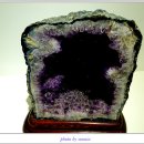 세계화석광물박물관 이미지