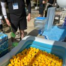 올랑가별미길 이미지