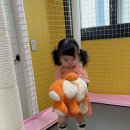 드림 키즈 풀빌라 이미지