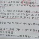 바로척척신경외과의원 | 허리 통증 병원 유목민 탈출! 과잉진료 없는 신경외과 리얼 후기