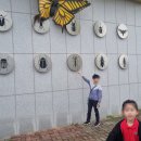 우포 잠자리 나라 | 경남 아이와가볼만한 곳 : 의령곤충체험험관(의령곤충생태학습관)관람 후기