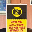 대전예술의전당 뮤지컬 데스노트 관람 후기, 아트홀 3층 1열 시야 리뷰