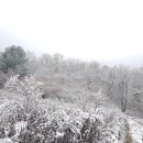 첫눈에평창 이미지