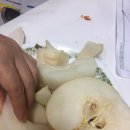 미건농장 이미지