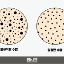 맨시크 이미지