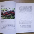 나무가 들려주는 환경이야기 | 자연이 들려주는 이야기_우리 문화가 담긴 &#39;꽃과 나무&#39;🌳
