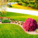 완충녹지가로공원 이미지