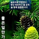 의정 부대찌개 이미지