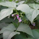 동부한의원 이미지