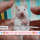 풍요의 계절 이미지