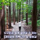 나무병원건강한숲 이미지