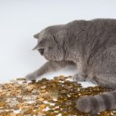 테크기어(주) 이미지