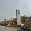 한사자농장 | 강릉 쌍둥이 동물농장 강릉 아기랑 가볼만한곳 추천