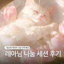 사랑이 머무는 미래 | 힐러 레아님 생일 기념 7일간의 단체 세션 나눔 받은 후기