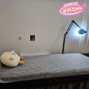 라이콘 정품 왁스 사용하는 의정부역 왁싱 브리즈비