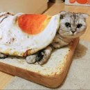 나두