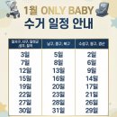 온리엘 | 대구온리베이비 카시트세탁 직접 맡겨본 솔직 후기