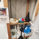 서울참새 | [천호] 셀프 사진관 참새에서 셀프 만삭사진 찍기(내 돈 내산)