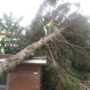 단양국유림관리소 이미지