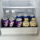 메르시 풀빌라 | 대부도독채펜션 메르시모몽 단체 강추 풀빌라 완벽 정리