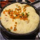 아기애견 이미지