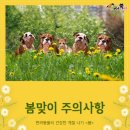 사항 이미지