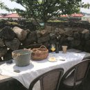 하도리 보통날 이미지