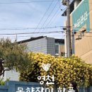 벽화 | sns에 후기 1도 없는 영천 목향장미