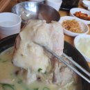 윤희네백숙 이미지