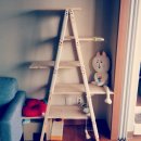 캣 팰리스 이미지