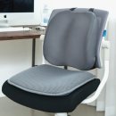 허리나 연구소 이미지