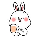 베리애견미용 이미지