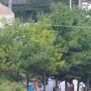 치명농장 이미지